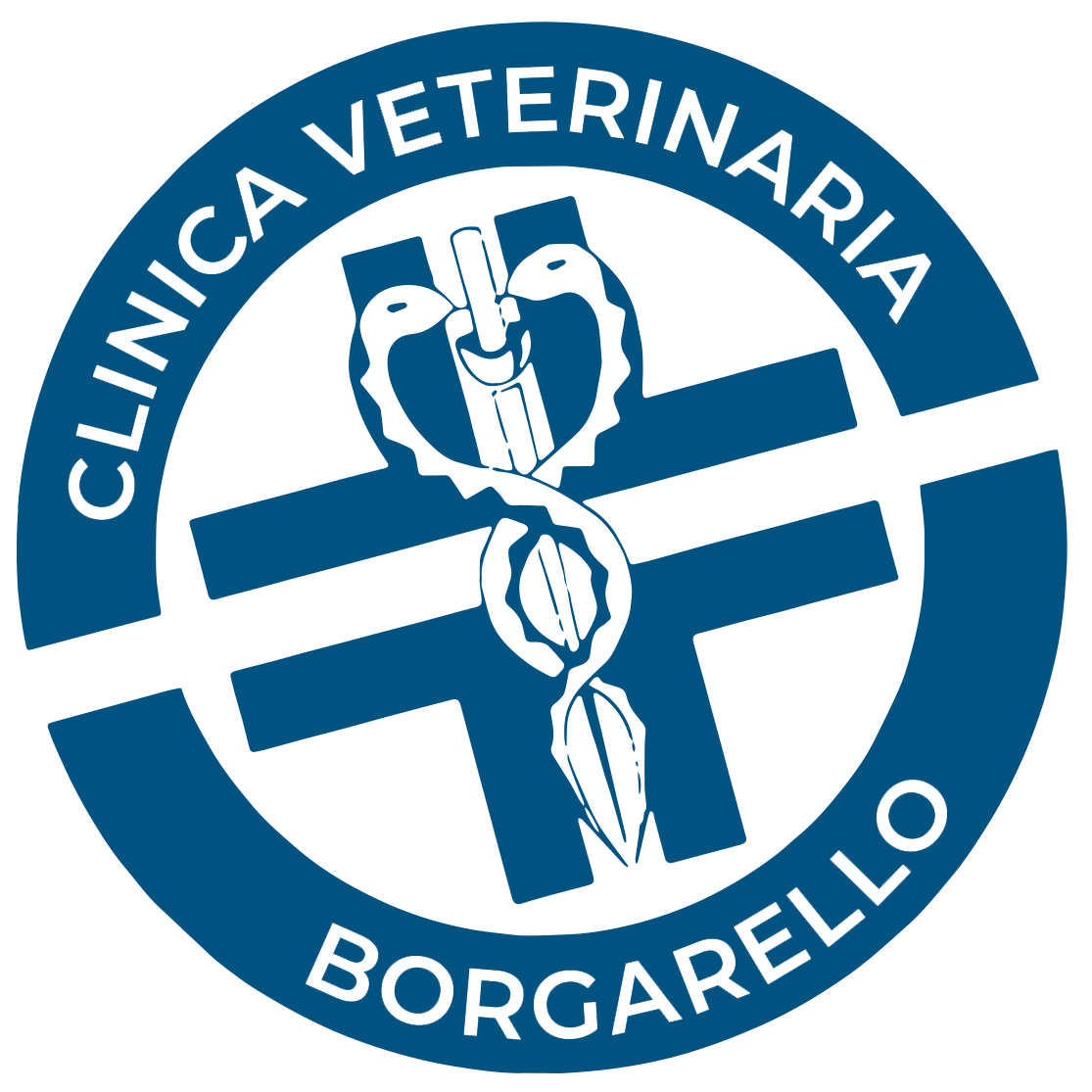 Clinica Veterinaria Borgarello
